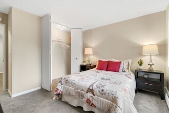 Interior Photo - The Element