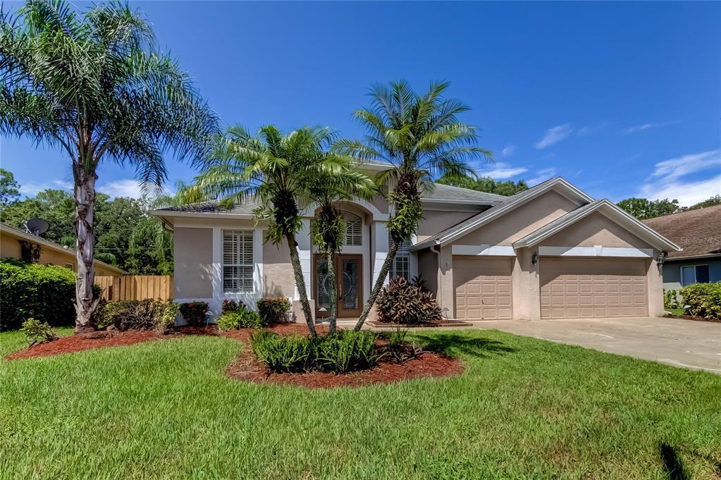 10614 Chambers Dr, Tampa, FL 33626 House Rental in Tampa, FL