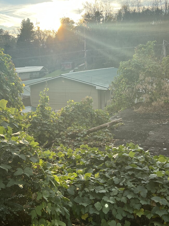 Building Photo - Lynn Garden