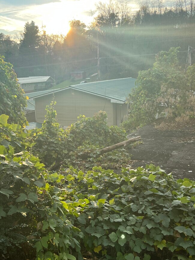 Foto del edificio - Lynn Garden