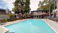 This residential community is designed with both functionality and comfort in mind, presenting a thoughtfully curated set of communal amenities across a single level. The outdoor pool area serves as a central gathering space, featuring a generously sized swimming pool with clear turquoise water, a broad surrounding deck furnished with lounge chairs, and a wrought-iron perimeter fence. Towering mature pine and deciduous trees provide natural shade and a lush, park-like ambiance, while a charming clubhouse structure with a pitched roofline and large glass doors anchors the background.

The interior mailroom is equally well-considered, boasting a clean, contemporary design with high ceilings and floor-to-ceiling windows that flood the space with natural light and offer views of the greenery outside. Light-toned tile flooring and soft blue-gray walls create a calm, welcoming atmosphere. A central island unit houses rows of individual bronze-finish mailboxes, with additional mailbox banks lining the surrounding walls. A built-in parcel drop station adds convenience for residents. A curated series of framed abstract artworks adorns one wall, contributing a refined aesthetic touch to this practical yet polished communal space.