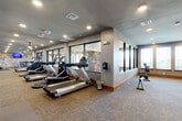 Located at 5403 W 96th Ave in Westminster, Colorado, this well-appointed fitness center offers a comprehensive workout environment across a single, expansive floor. The facility is thoughtfully divided into distinct functional zones, each designed to support a variety of exercise routines. The cardio area is lined with treadmills and elliptical machines positioned along a windowed wall, allowing natural light to fill the space and providing exterior views during workouts. Large mirrors along the walls enhance the sense of openness throughout. The strength training section features a striking stacked-stone accent wall that adds a warm, rustic character to the space. Mounted flat-screen TVs keep members engaged, while ceiling fans ensure comfortable air circulation. A dedicated free weights area includes a full dumbbell rack and weight benches, complemented by cable and resistance machines suited for a range of strength exercises. An open carpeted area provides ample room for stretching, mat work, or functional training, with a punching bag and additional accessories available. Recessed lighting and ceiling fans throughout contribute to a well-lit, comfortable atmosphere. The facility is accessed through double glass doors and is finished with durable carpet flooring and warm wood baseboards, creating a polished and inviting environment for fitness enthusiasts.
