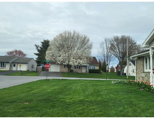 Building Photo - 821 Walnut St