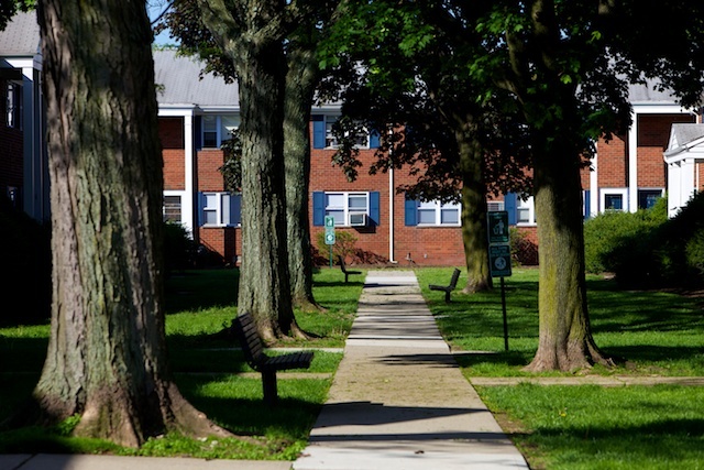 Building Photo - Martha Washington Apartments