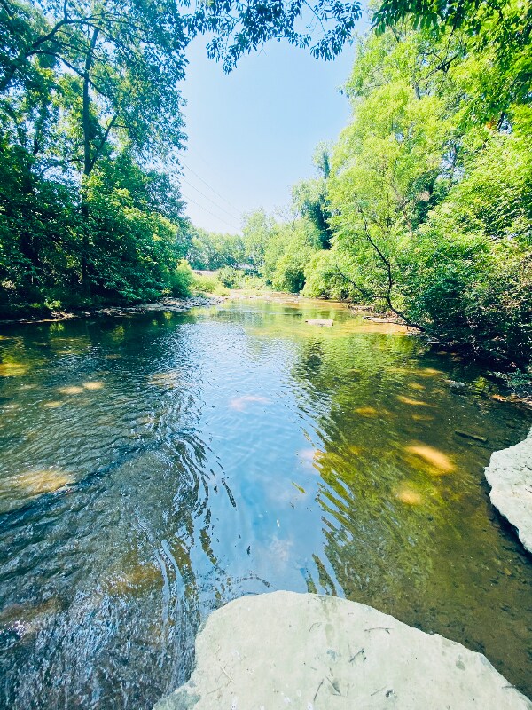 Foto del edificio - 263 Southburn Dr