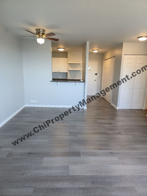 Building Photo - 1455 N Sandburg Terrace