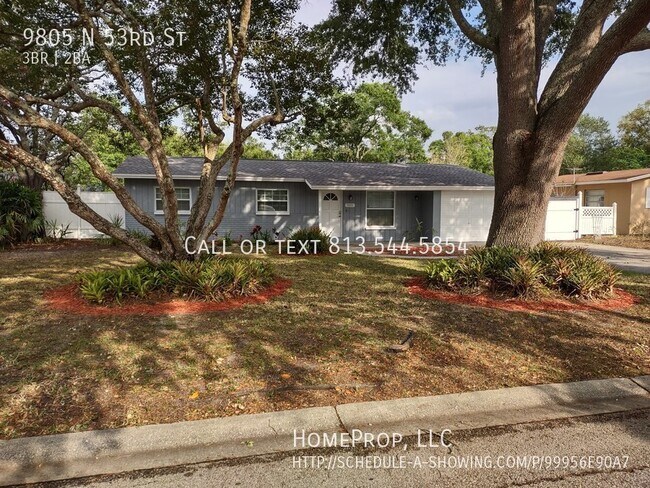 Building Photo - Vintage 3/2 in Temple Terrace