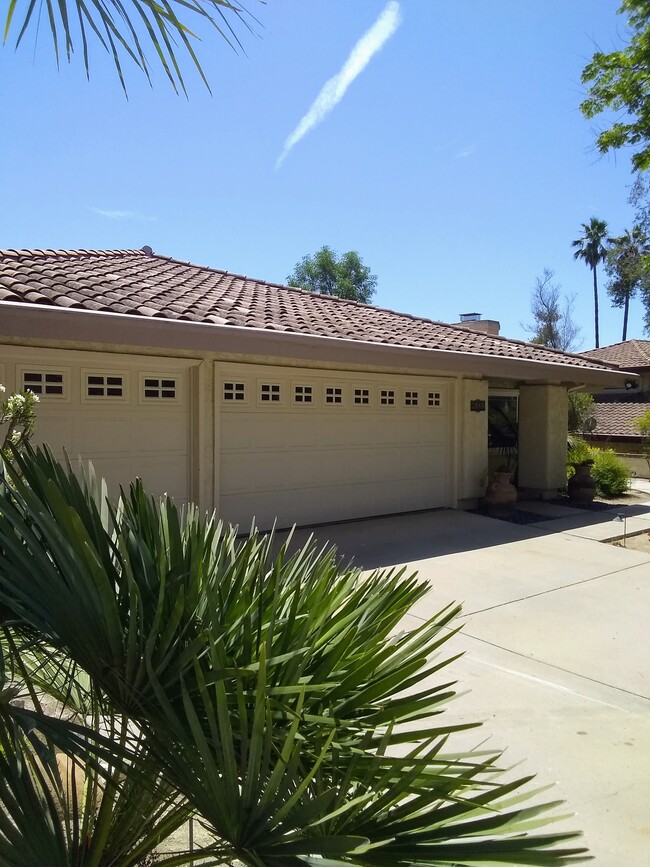 Building Photo - 3988 Calle Del Sol