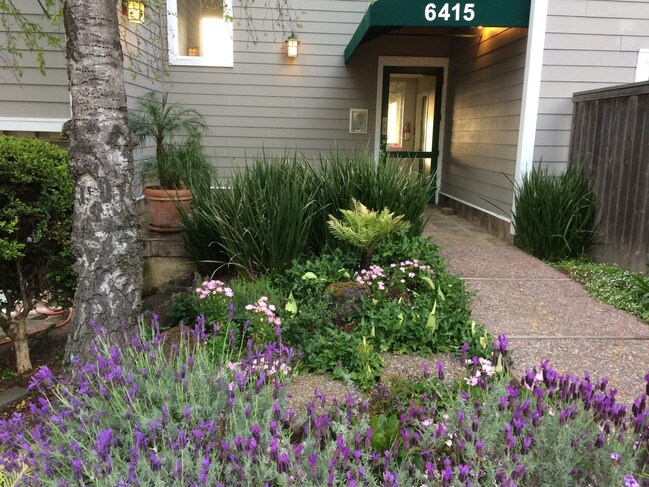 Fachada del edificio - 6415 Snake Rd