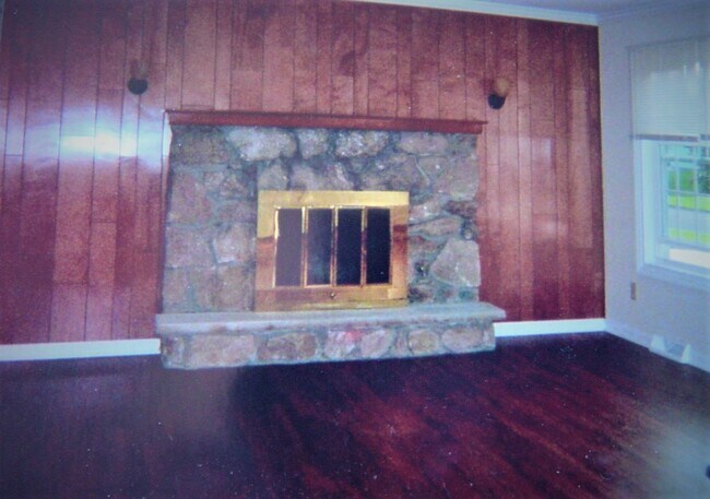 Family room gas fireplace - 2028 Debutante Mnr