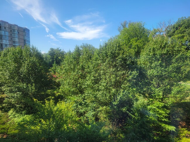 VIEW FROM SUNROOM II - 19355 Cypress Ridge Ter