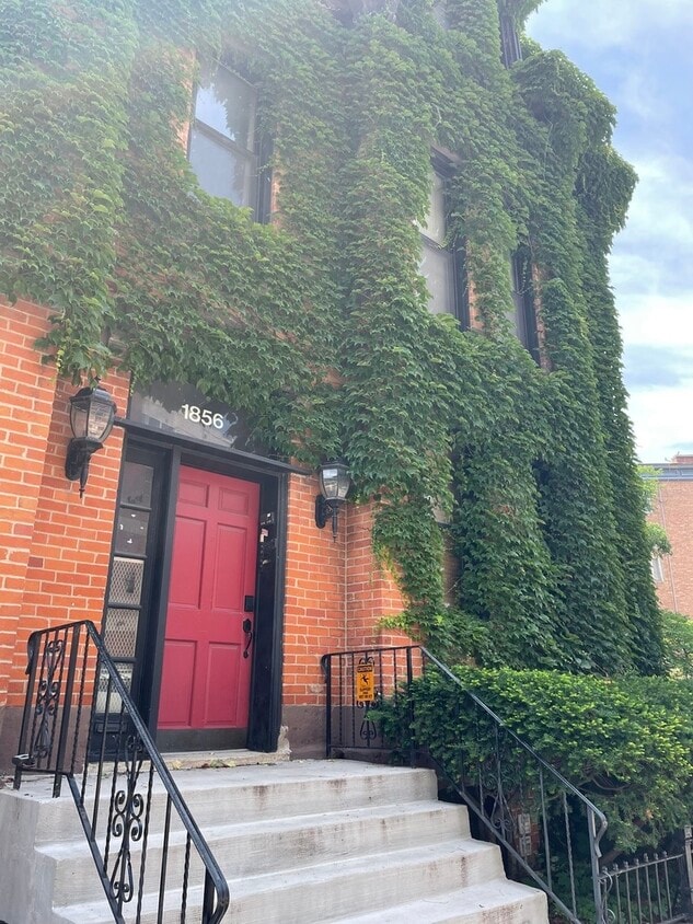 Primary Photo - 1856 N Lincoln Ave