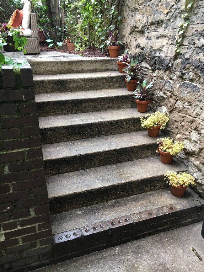 Foto del edificio - CHELSEA BACKYARD OASIS