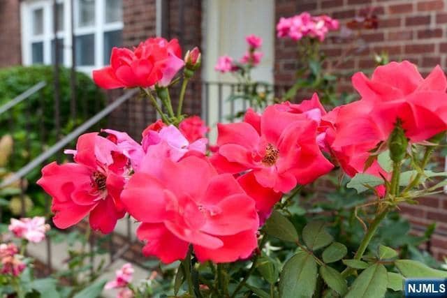 Foto del edificio - 395 S Park St