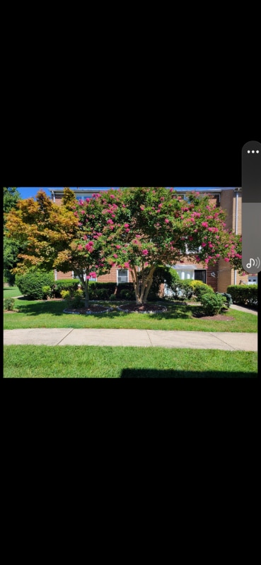 Primary Photo - 1889 Addison Rd S