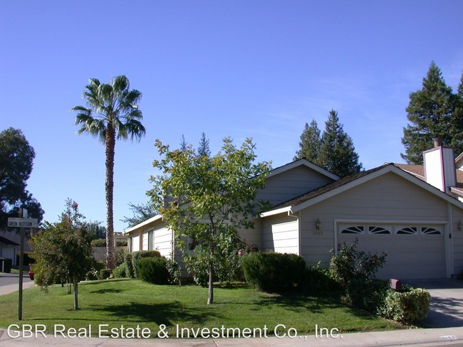 Building Photo - 4 br, 2 bath House - 2262 Green Blossom Court