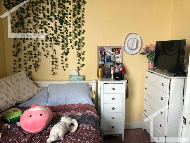 Foto del edificio - 4bed-1.5bath Egmont St. Apartment with Heat/Hot Water Included!