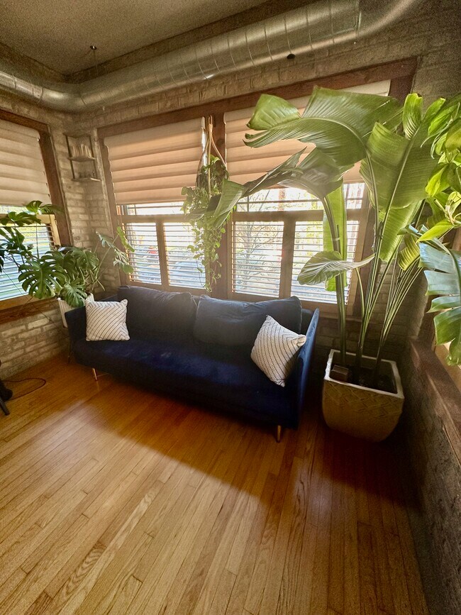 Foto del edificio - 7017 N Greenview Ave