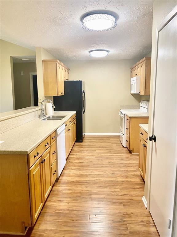 Building Photo - 6129 Silver Leaf Dr