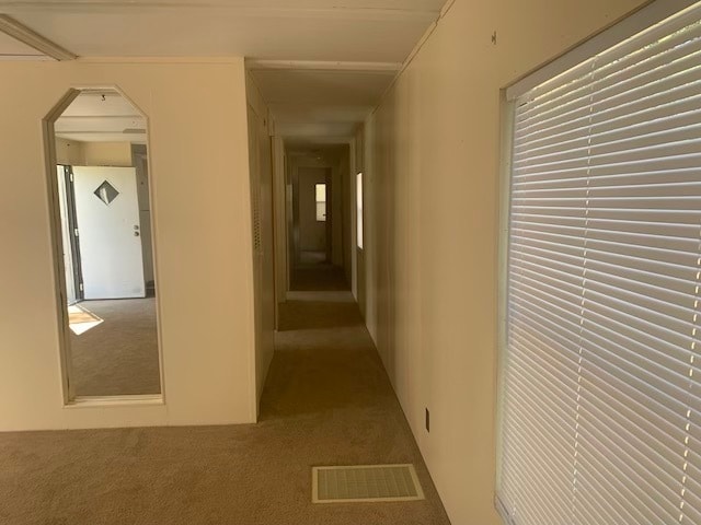 Building Photo - 1109 Andrea Dawn Ln