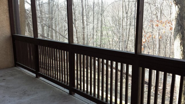 Screened porch - 257 Shawmont Ave