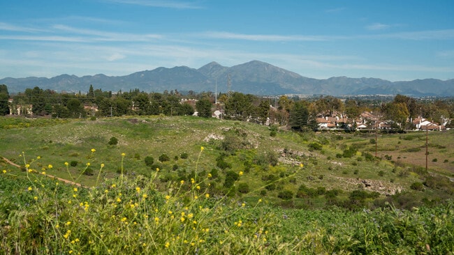 Parque junto al arroyo - Villa Solana