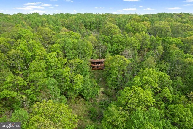 Building Photo - 116 Mossy Rock Ln