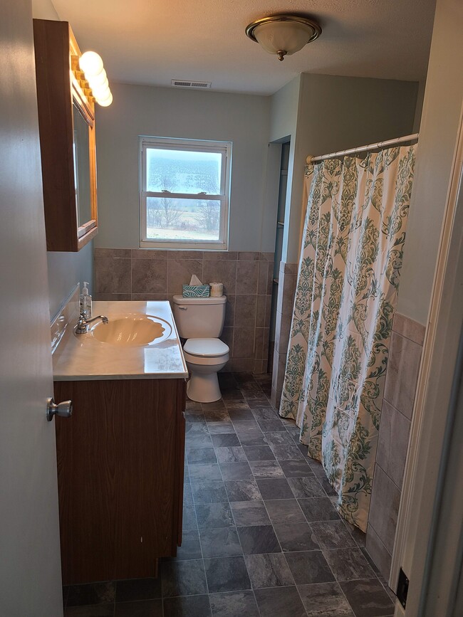 Updated Bathroom - 780 Rogers Rd