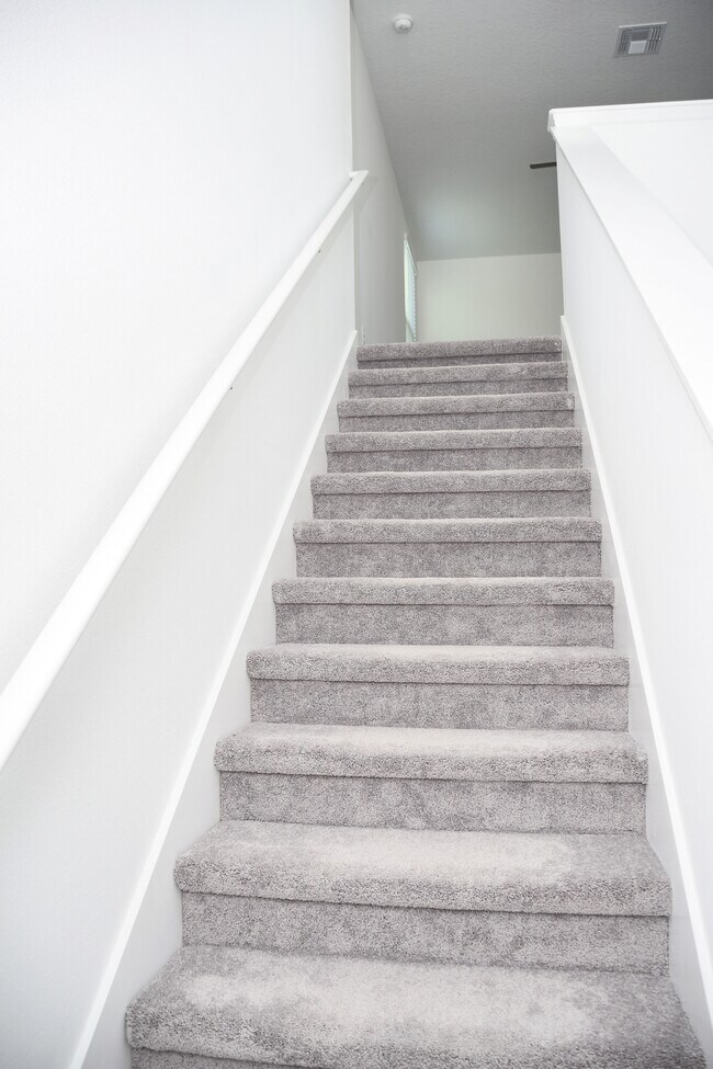 Stairs - 2505 Leonia Ln