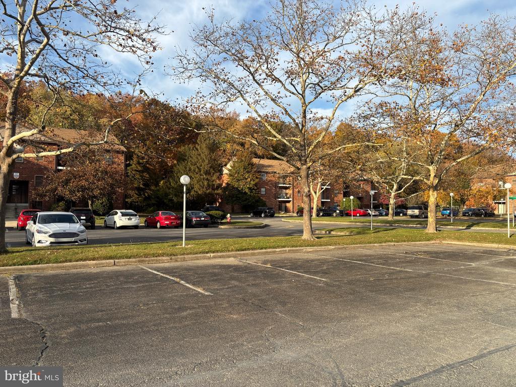 Primary Photo - 9 DOVER HALL