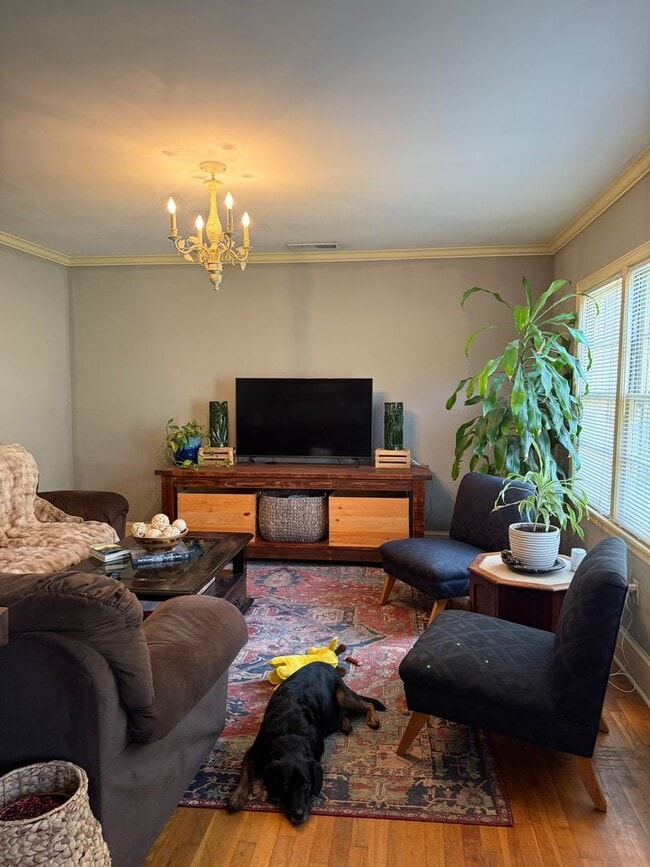 Photo - 207 Gran Ellen Apartment