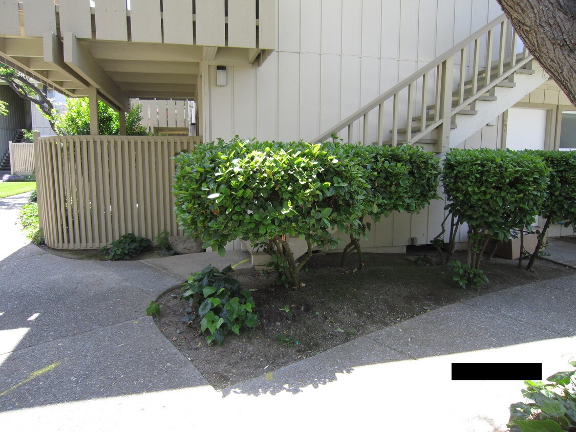 Primary Photo - 255 S Rengstorff Ave