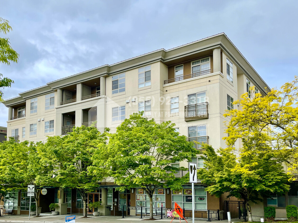 24 Comfortable Accent apartments bellevue for Near Me