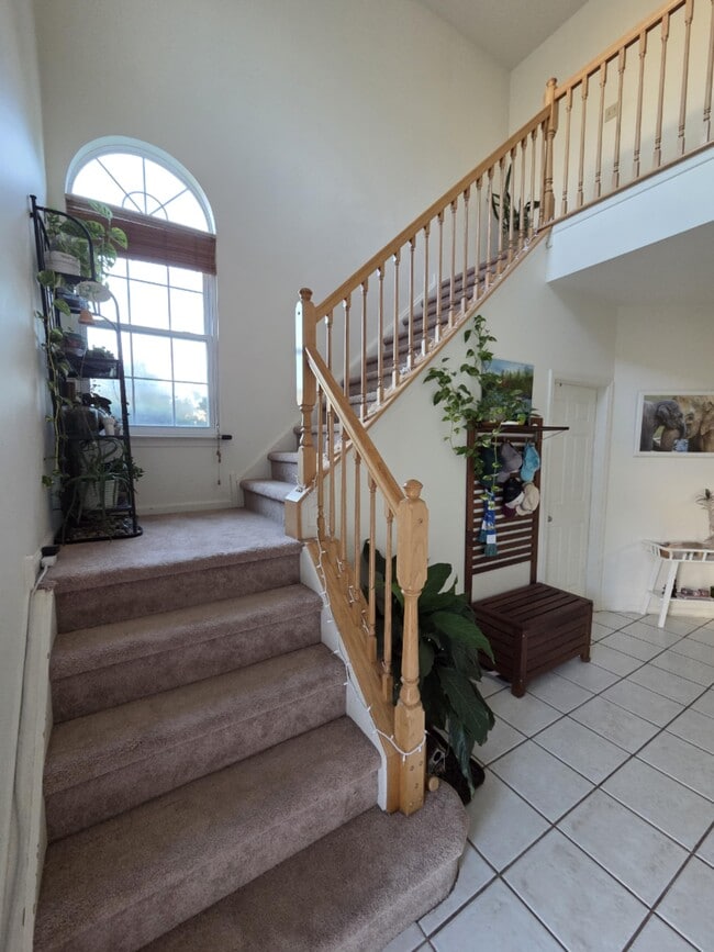 Building Photo - 34 Degas Cir