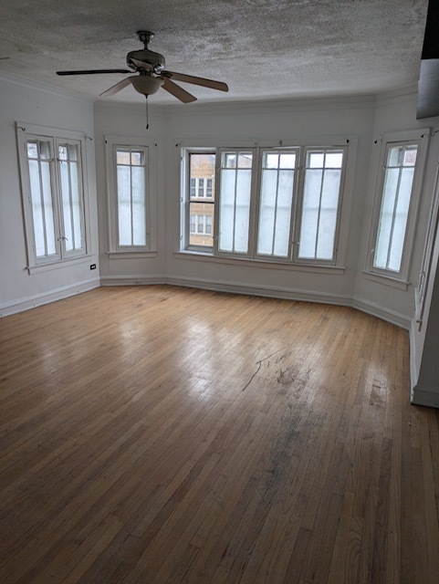 Living Room - 8010 S Marshfield Ave