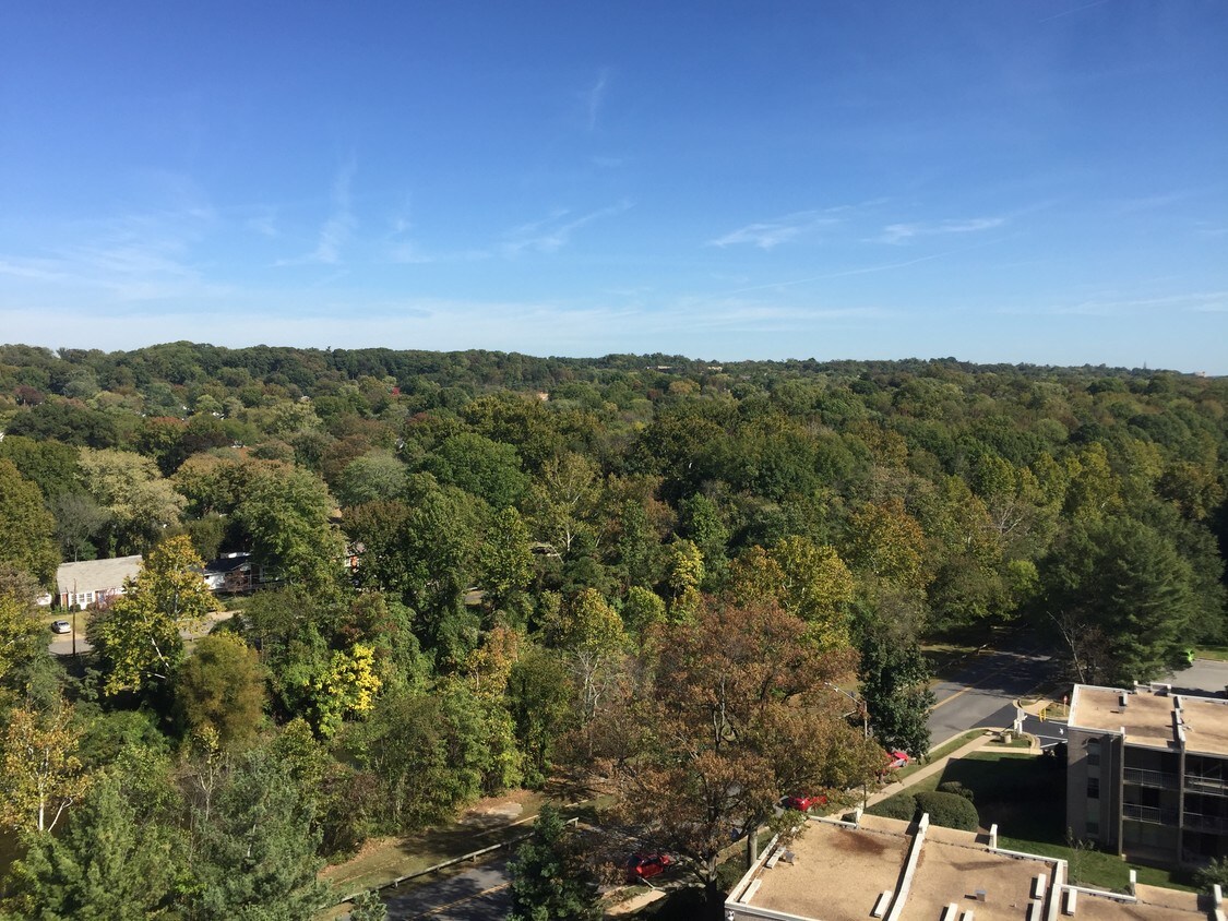 gorgoreos view from balcony - 5300 Holmes Run Pkwy
