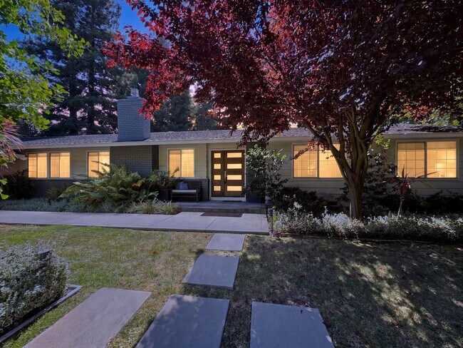 Foto del edificio - Gorgeous 4 Bedroom PLUS Spacious Bonus Room with Pool in Desired Alamo Neighborhood Available Now!