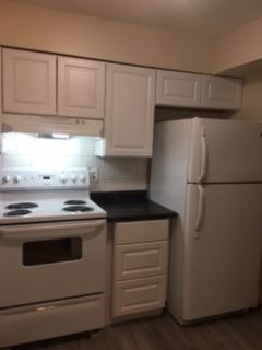 Building Photo - 1450 Slade Ave