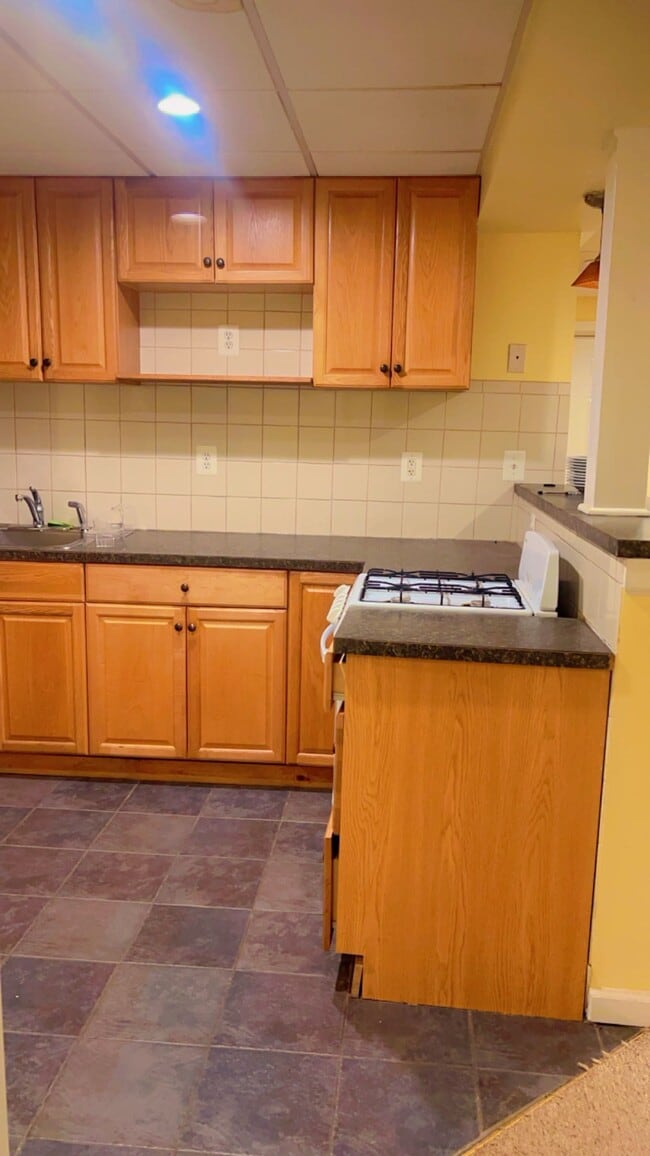 481 Helene Ave, Shirley, NY 11967 House Rental in Shirley, NY