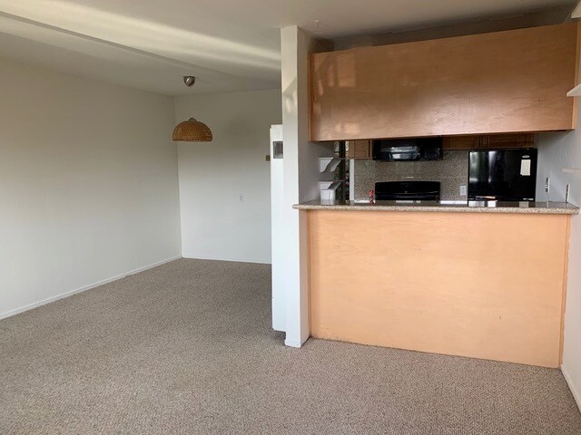 Living Room/Kitchen - 2113 Rose St