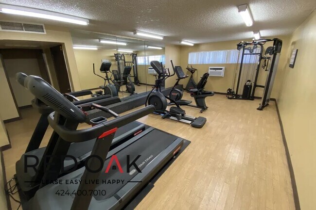 Building Photo - Sun Drenched and Airy One Bedroom with Ope...