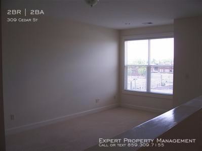 Building Photo - 309 Cedar St