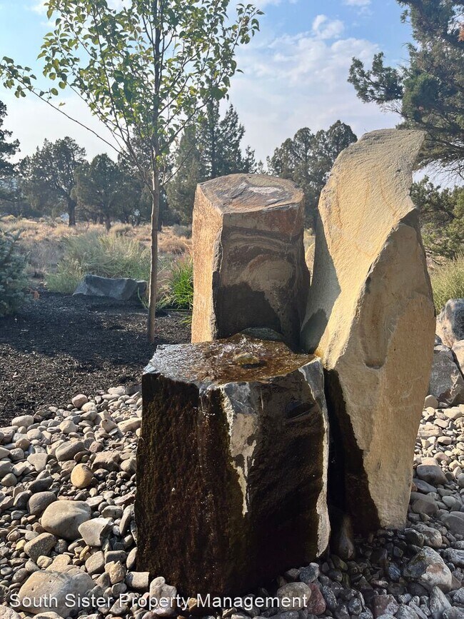 Building Photo - 3 br, 3 bath House - 2525 Thrush Ct.