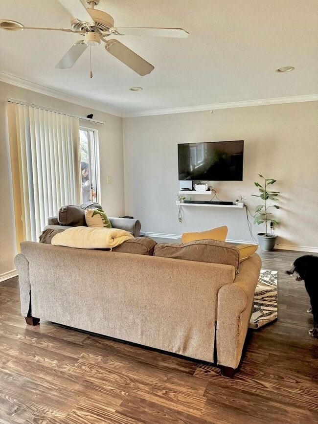 Building Photo - 2511 Pascal Ct