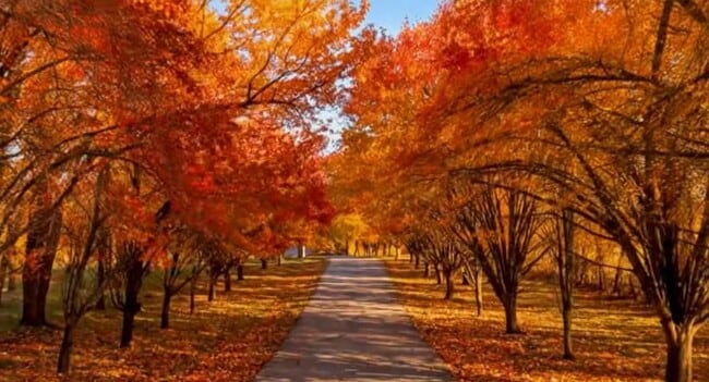 Building Photo - 27210 S Hwy 125