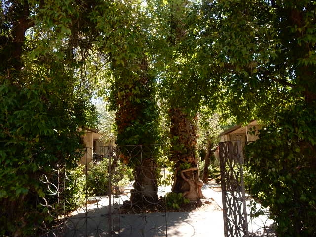 Building Photo - Maroa Lanai Apartments