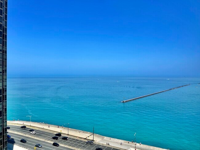 Building Photo - 900 N Lake Shore Dr