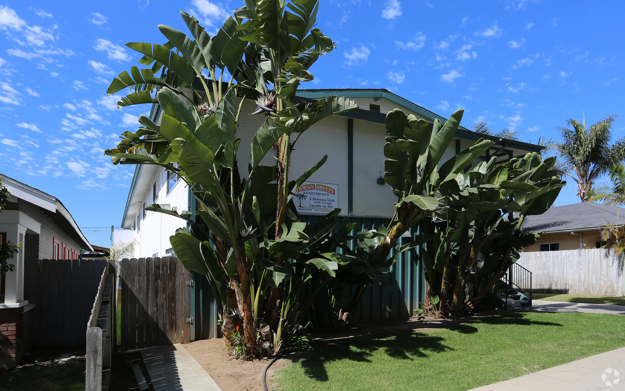 Building Photo - Ocean Breeze Apartments