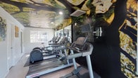 This fitness center offers a thoughtfully designed workout environment that blends functionality with distinctive artistic flair. The space is immediately distinguished by its bold nature-inspired murals, which sweep across both the walls and ceiling, depicting lush tree canopies in deep greens, blacks, and golds — creating an immersive, energizing atmosphere unlike a typical gym setting.

The cardio zone is well-appointed with multiple Life Fitness treadmills and elliptical machines arranged in a row, each equipped with individual monitor screens for entertainment during workouts. A spin bike rounds out the cardio offerings. Large windows line the space, allowing abundant natural light to fill the room and providing views of an outdoor pool deck and surrounding greenery, seamlessly connecting the interior to the outdoors.

A dedicated free weight area features a tiered dumbbell rack stocked with a range of hex weights, set atop rubberized flooring for safety and comfort. Full-length mirrors in this zone enhance the sense of space and allow for proper form checks. Additional workout equipment, including a bench press, is also present.

The floor is finished in light-colored tile throughout, complementing the bright white walls of the central corridor, which leads to additional utility rooms. Colorful abstract artwork accents the walls, adding further visual interest to this unique and fully equipped fitness facility.