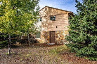 Building Photo - 2009 Lion Mountain Loop Rd